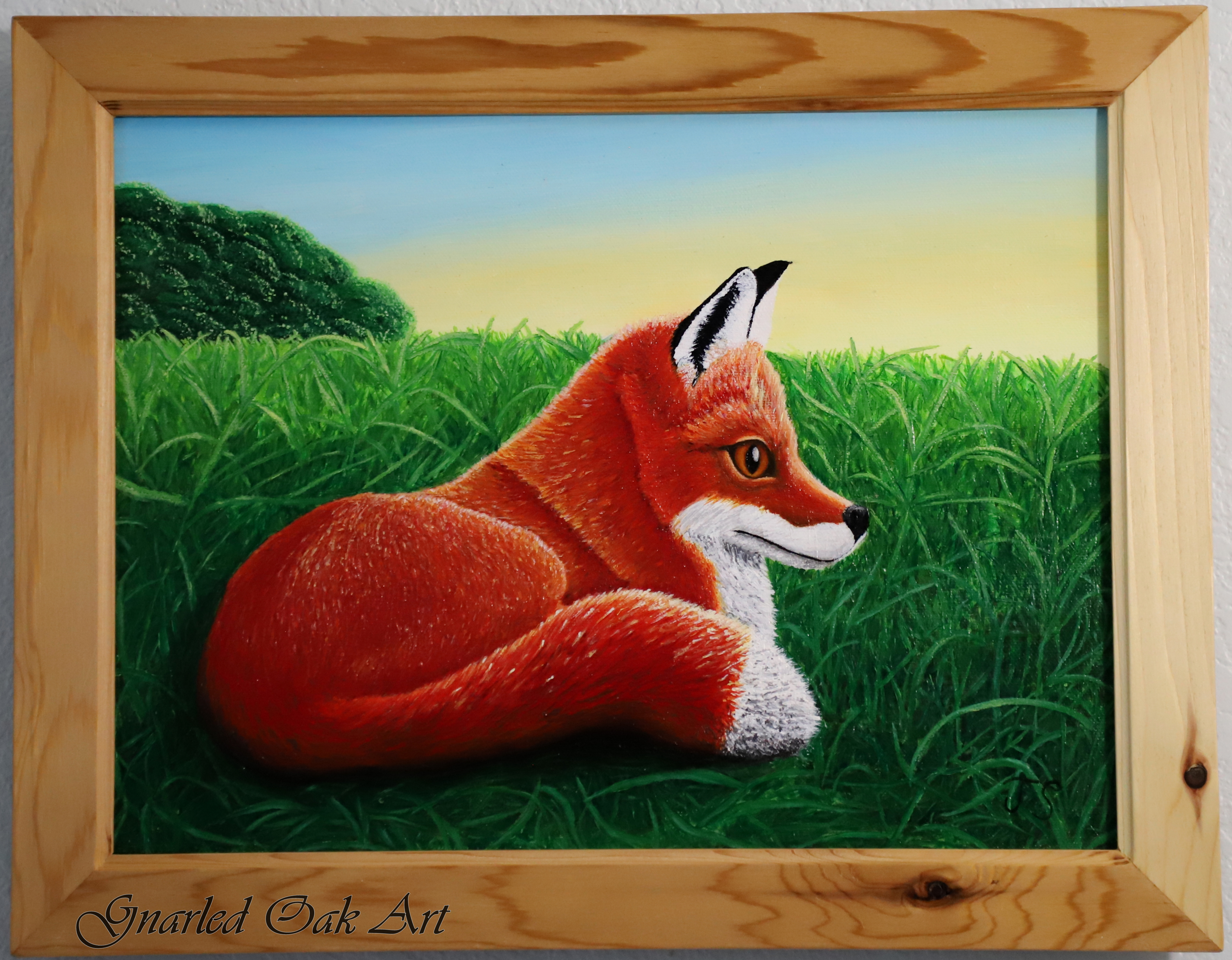 Art, painting, arcylic painting, fox, nature, life, evening, custom frame, cedar frame, gnarled oak, gnarled oak art, contentment, energy, life, excitement