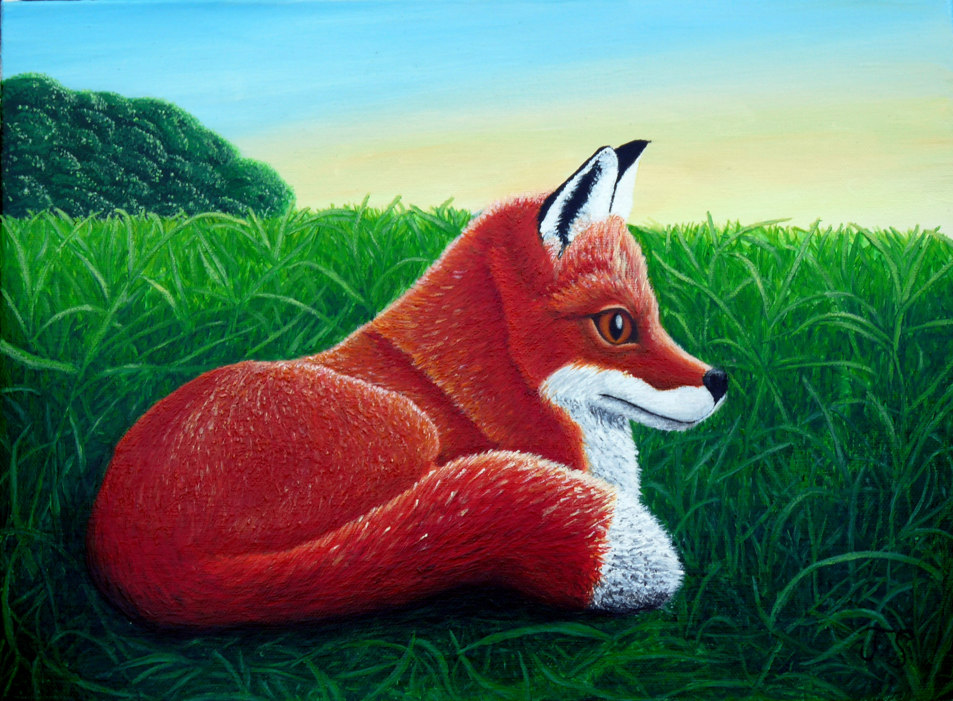 Art, painting, arcylic painting, fox, nature, life, evening